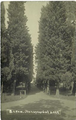 Батуми. Кипарисовая аллея.