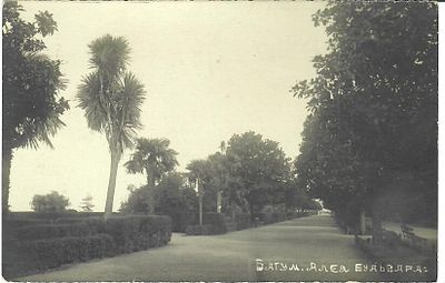 Батум. Аллея бульвара.