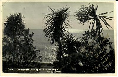 Сочи. "Кавказская ривьера". Вид на море. Фото Д. Ефимова. 
Дарственная надпись "На долгую и 
