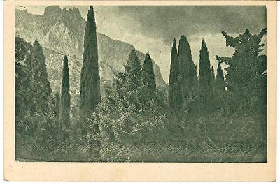 Крым. Алупка. Кипарисы в парке и вид на Ай-петри.