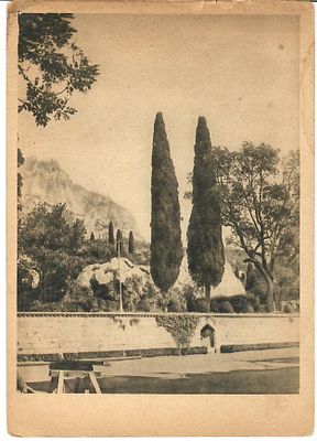 Алупка. Парк. Потемкинские кипарисы. "Советский турист". Серия "Крым". Потемнение бумаги, след 