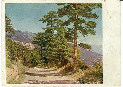 Крым. Спуск со скалы Ай-Петри (в. 577 саженей или 1221 метр). По шоссе Бахчисарай - Ялта. 