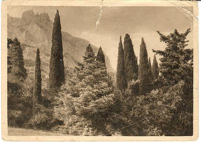 Крым. Алупка. Верхний парк. Прошла почту, заполнена. Надрывы, заломы.