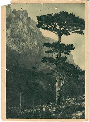 Крым. Ай-Петри. Вид с Крестовой горы. 
Фрагментарная утрата угла, надрыв, заломы, сквозные 