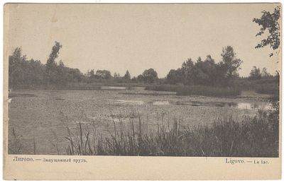 Лигово. - Запущенный пруд. Открытое письмо. В пользу общины св. Евгении. Фототипмя Кордовского 