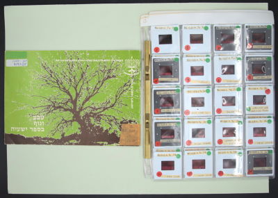 טבע ונוף בספר ישעיהו - פולדר של שקופיות בנושא תנ"ך + קטלוג "טבע ונוף בספר ישעיהו, מדריך למורה 