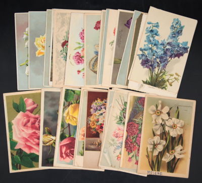 לוט כ-30 גלויות וינטג' שונות בנושא פרחים וצמחים, שנים שונות ממקומות שונים, חלקן עם צביעת 