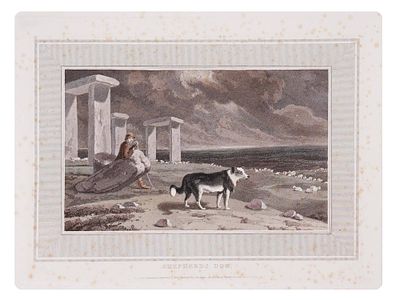 WILLIAM DANIELL ENGLISH COLOR ENGRAVING SHEPHERDS DOG. Engraving and aquatint on paper by 