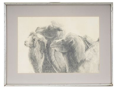 AMERICAN PAINTING THREE CAMELS BY EVA VAN RIJN 1991. Eva van Rijn, American, born 1936, a pencil 