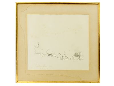 ANTIQUE AMERICAN PENCIL ON PAPER BOTANICAL PAINTING. An antique American pencil on paper