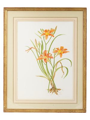 WATERCOLOR BOTANICAL PAINTING BY JESSICA TCHEREPNINE. A vintage watercolor on paper botanical