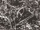 ABSTRACT LITHOGRAPH PRINT SIGNED JACKSON POLLOCK. A black and white lithograph on paper, signed Изображение - 1
