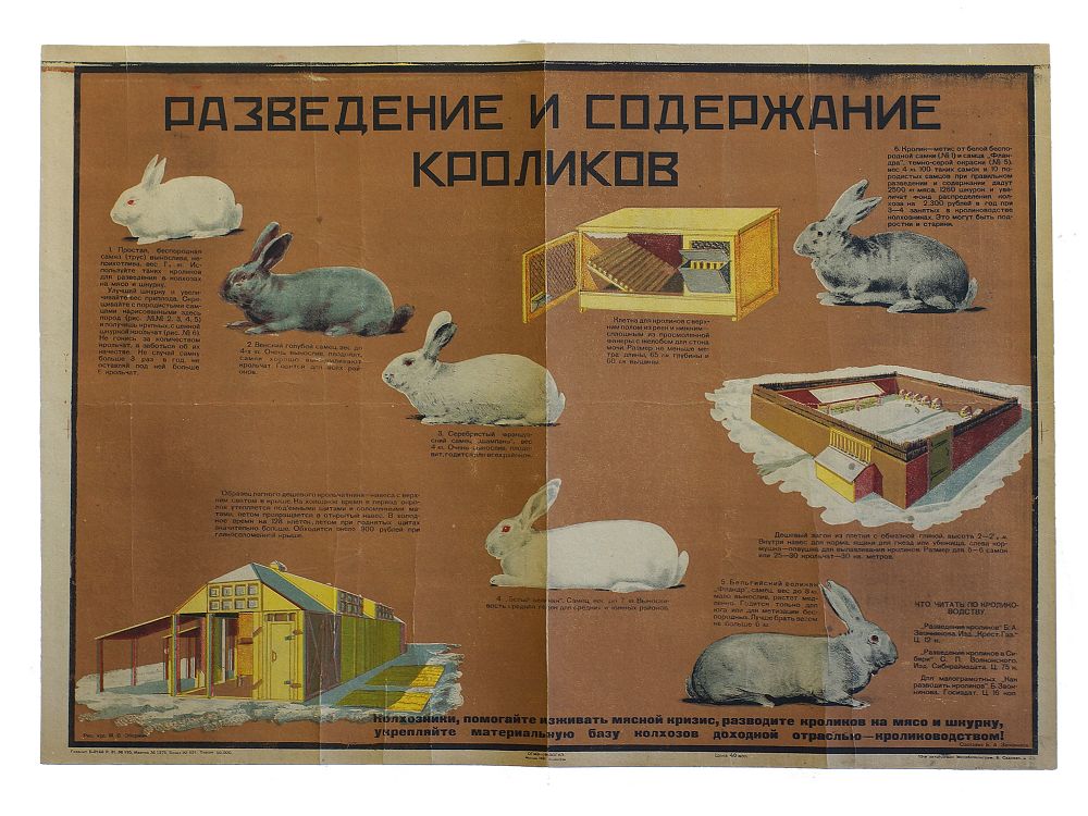 A SOVIET POSTER RABBIT BREEDING AND UPKEEP 1931. A Soviet poster: Razvedeniye i soderzhanie 