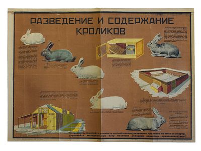 A SOVIET POSTER RABBIT BREEDING AND UPKEEP 1931. A Soviet poster: Razvedeniye i soderzhanie 