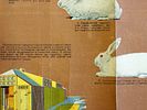 A SOVIET POSTER RABBIT BREEDING AND UPKEEP 1931. A Soviet poster: Razvedeniye i soderzhanie Изображение - 2