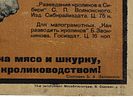 A SOVIET POSTER RABBIT BREEDING AND UPKEEP 1931. A Soviet poster: Razvedeniye i soderzhanie Изображение - 7