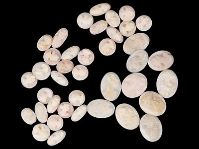 COLLECTION OF ANTIQUE HAND CARVED SHELL CAMEOS. A collection of antique hand carved cameos 