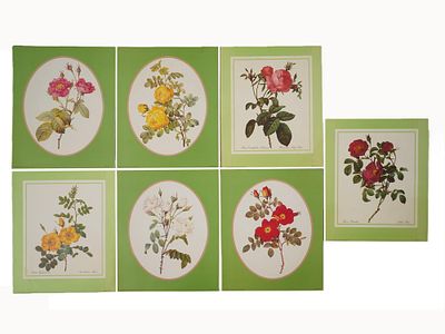 LOT OF ASPELIN GALLERIES ROSES BOTANICAL ART PRINTS. A collection of seven Aspelin Galleries 
