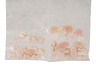 VINTAGE CARVED CORAL CAMEOS WITH FEMALE RELIEF PROFILES. A collection of 40 antique or vintage 