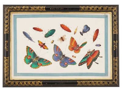 АНТИКВАРНАЯ КИТАЙСКАЯ КАРТИНА &laquo;БАБОЧКИ И НАСЕКОМЫЕ&raquo;. Антикварная китайская картина смешанной 