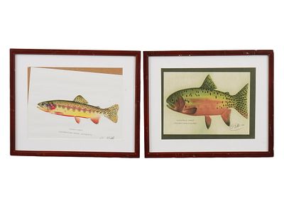 VINTAGE GOLDEN AND CUTTHROAT TROUT PRINTS SIGNED. A pair of vintage trout prints, each signed 