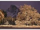 SIGNED LTD EDITION MATTED PHOTOGRAPH POSTER WILLIAM NEILL. From “winter in Yosemite” series. Image - 1