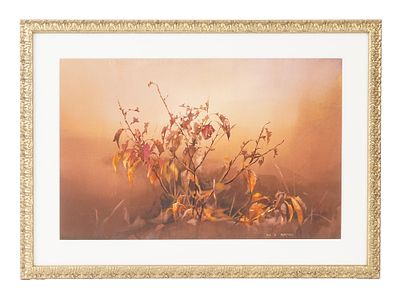 АМЕРИКАНСКАЯ АКВАРЕЛЬНАЯ КАРТИНА, ПОДПИСАННАЯ МАЕ Х. БЕРТОНИ. Американская акварельная картина 