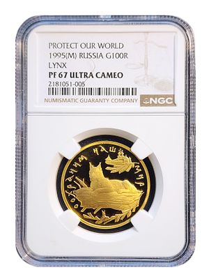 РОССИЯ 100 РУБЛЕЙ 1995 ЗОЛОТАЯ РЫСЬ NGC PF67. Золотые 100 рублей 1995 года &laquo;Рысь&raquo; - &laquo;Защитим наш 