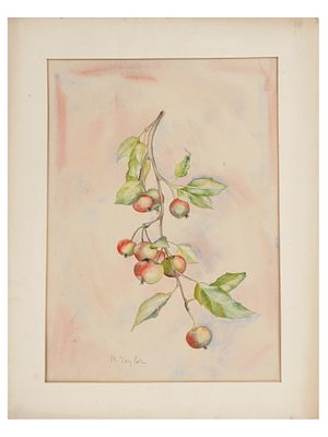 BERRIES WATERCOLOR PAINTING SIGNED BY M TAYLOR. M. Taylor, a 20th century artist, watercolor 