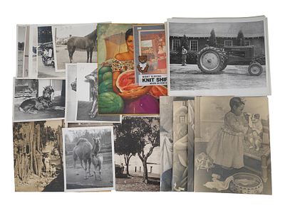 ВИНТАЖНЫЕ ФОТОГРАФИИ МЕКСИКАНСКОГО ИСКУССТВА И ЖИВОТНЫХ. Много черно-белых фотографий середины 