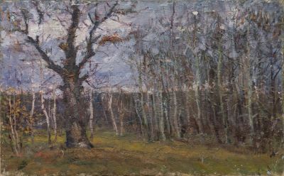 Анурин П. Я. (1914 — 1992) - В лесу. СССР, 1940-50-е годы. Холст, масло. 50 Х 80 см. Осыпи 