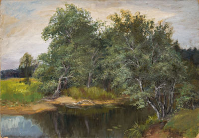 Емельянов С.А. (1894-1991 гг) - Речка Воря. СССР, 1978 год. Картон, масло. 48 Х 69 см. Подпись 