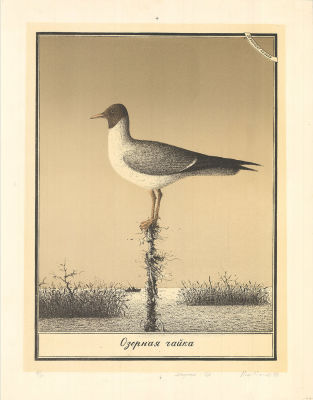 Попов Н. Е. (1938 г.р.) - Озерная чайка. СССР, 1979 год. Бумага, автолитография. 57 Х 45 см (лист). 