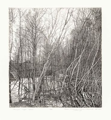 Никиреев С.М. (1932-2007 гг) - Старое гнездо сороки. Оттиск 2010 г. с доски 1999 г. Бумага, офорт. 