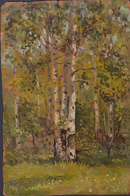Неизвестный художник - Этюд &laquo;Березки&raquo;. СССР, 1960-е годы. Картон, масло. 24 Х 17 см.