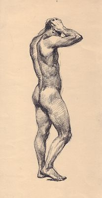 Пинкисевич П.Н.(1925–2004 гг) - Натурщик со спины. СССР, 1950-1960-е годы. Бумага, тушь. 31 Х 16 см 