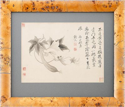 "Лист из ботанического атласа". Китайконец ХІХ начало XX вврисовая бумага; акварель, тушь24,5 см 