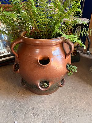 A large terracotta three handled strawberry planter. 50cm tall.