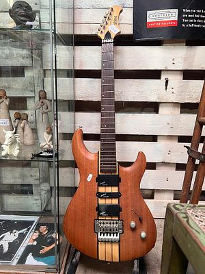 A Shine electric guitar, back plates missing.