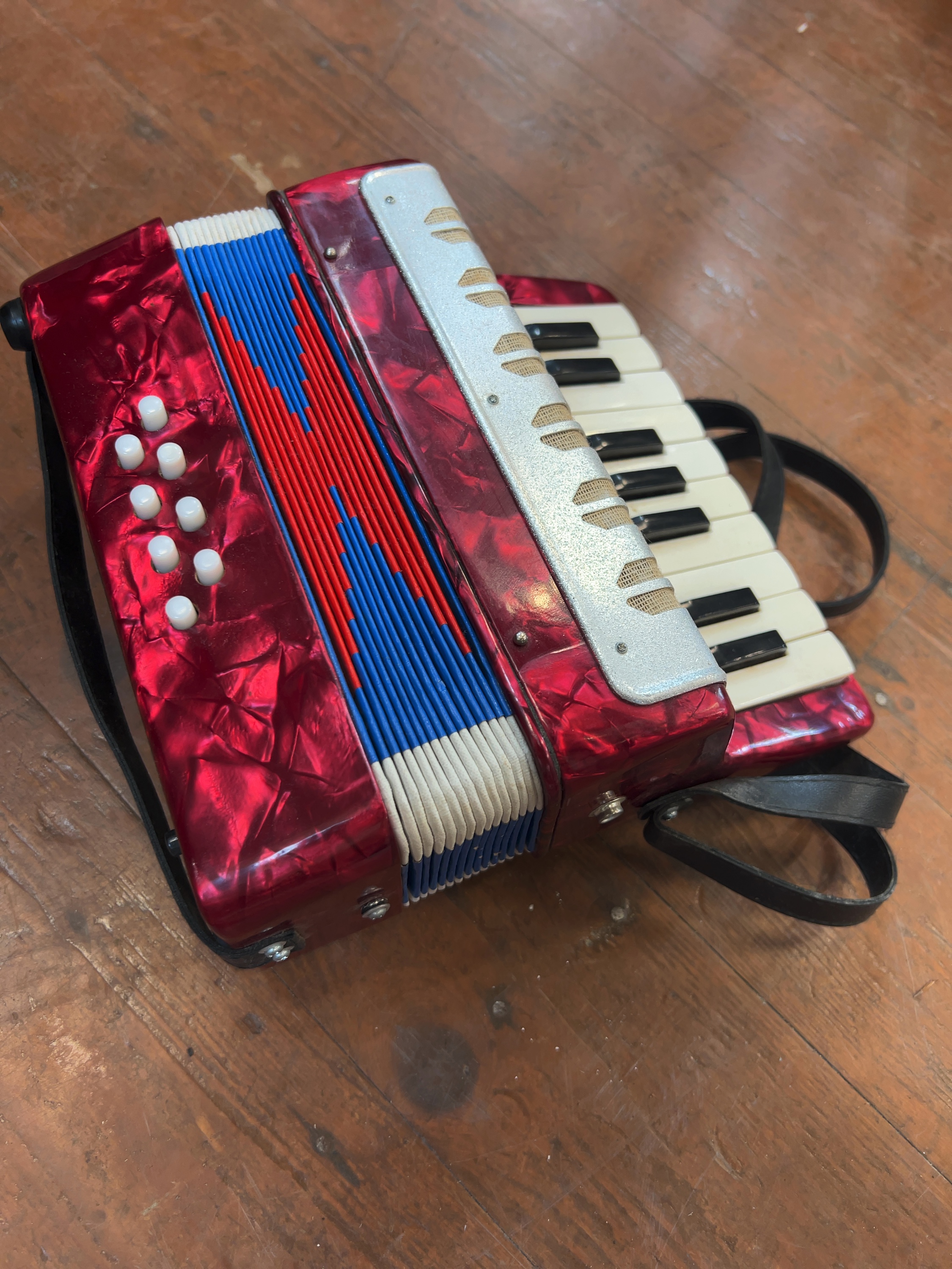 A Student Piano Accordion with Red Pearloid Finish