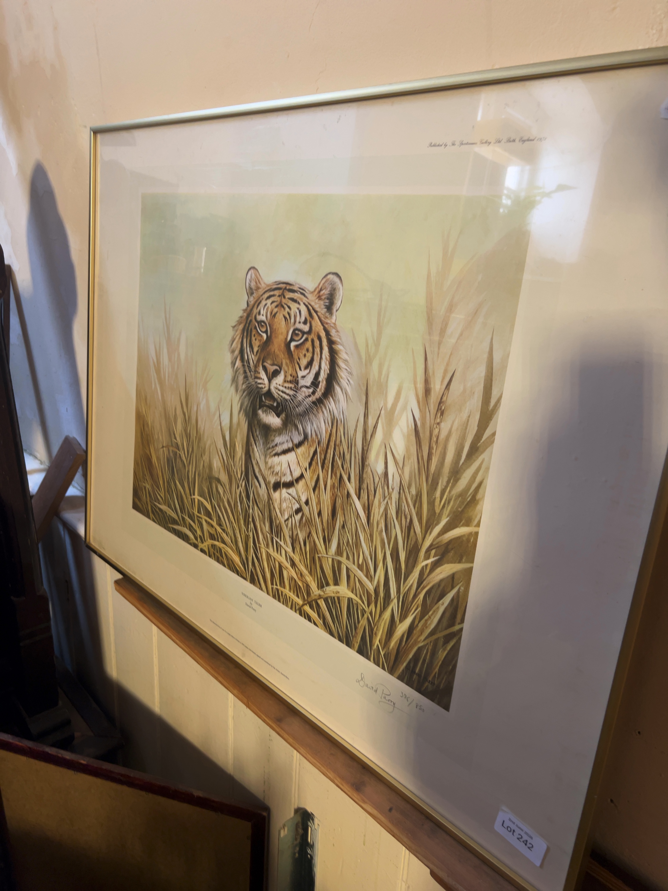 David Parry, Siberian Tiger, Limited Edition Signed Print