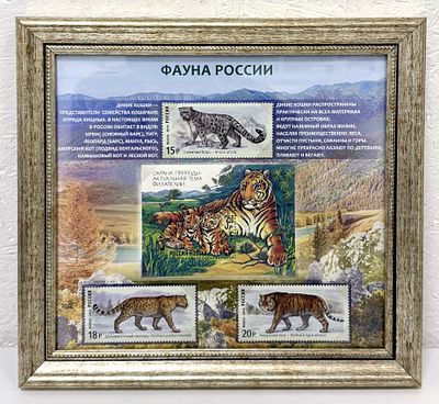 2014 г. Фауна России. Дикие кошки. Официальный подарочный лимитированный выпуск!