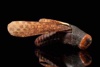 EGYPTIAN IVORY AND WOOD COSMETIC VESSEL IN THE FORM OF A GRASSHOPPER. Late 18th Dynasty, Ca. 