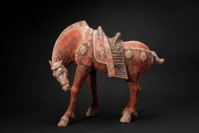 CHINESE TERRACOTTA HORSE - TL TESTED. Tang Dynasty, Ca. AD 618 - 907. A terracotta horse 
