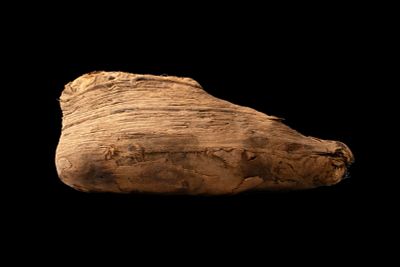 EGYPTIAN MUMMY OF IBIS. Late Period to Ptolemaic Period, Ca. 664 - 30 BC. A mummified ibis 