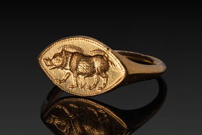 FINE GREEK SOLID HIGH KARAT GOLD RING WITH WILD BOAR. Ca. 500 - 400 BC. A gold ring with a 