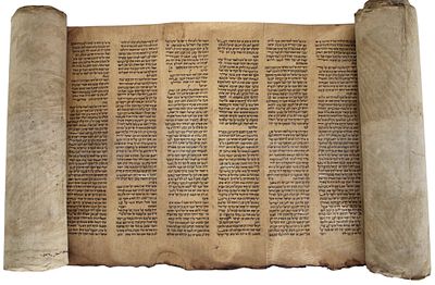 An Incomplete Torah Scroll written on גוויל (Gevil). This Torah Scroll is scribed on גוויל 