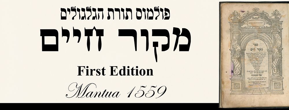 Polemic on the Doctrine of Transmigration. Mekor Chaim, First Edition, Mantua 1559. Sefer Mekor 