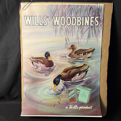 Wills's Woodbines Cigarette Advertising Poster. Wills's Woodbines lithographic poster featuring 