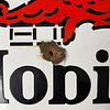 Gargoyle Mobiloil Vacuum Oil Company Enamel Flange Sign. White flanged enamel sign with red Image - 3